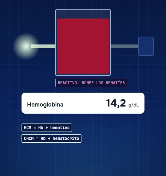 Una cubeta en la que los glóbulos rojos se rompen y el líquido se vuelve rojo; un haz de luz la atraviesa y aparece el resultado: 14,2 g/dL.