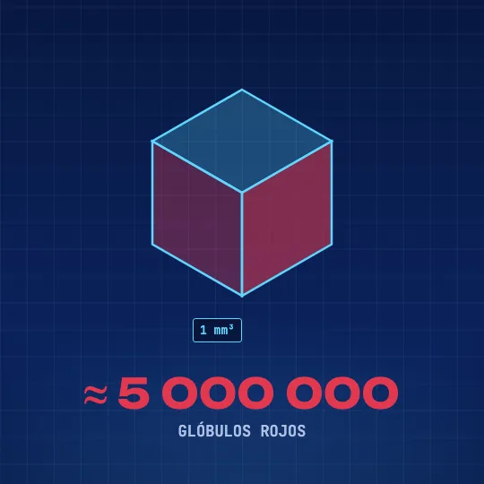 Un cubo de un milímetro cúbico con el texto: aproximadamente 5 000 000 de glóbulos rojos.