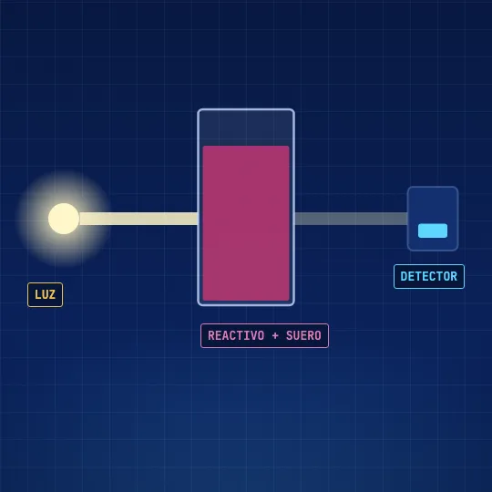 Una lámpara envía un haz de luz a través de una cubeta con reactivo y suero hasta un detector.