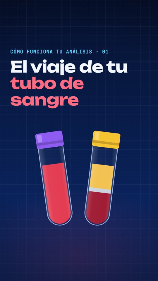 El viaje de tu tubo de sangre