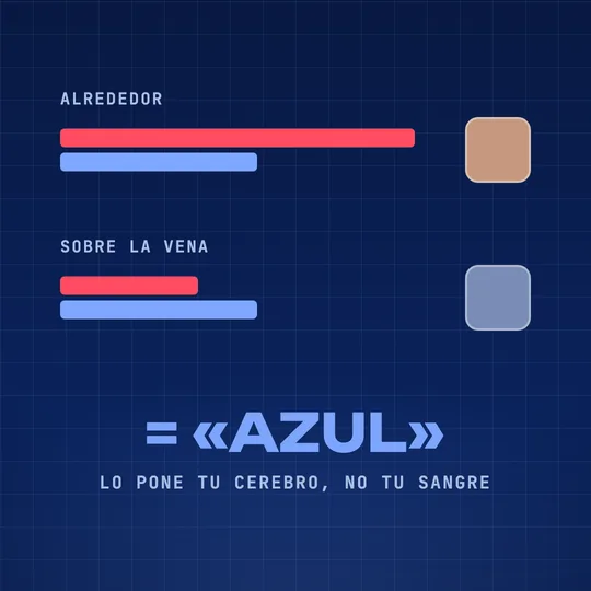 Comparación de la luz que vuelve: alrededor de la vena vuelve mucho rojo; sobre la vena vuelve menos rojo y el color resultante se ve azulado.