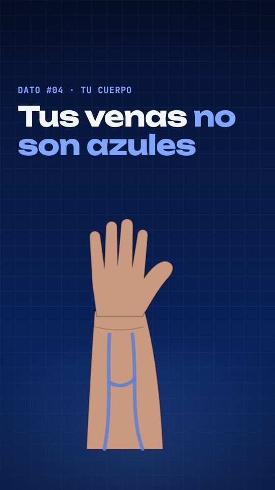 Por qué las venas se ven azules (si tu sangre es roja)