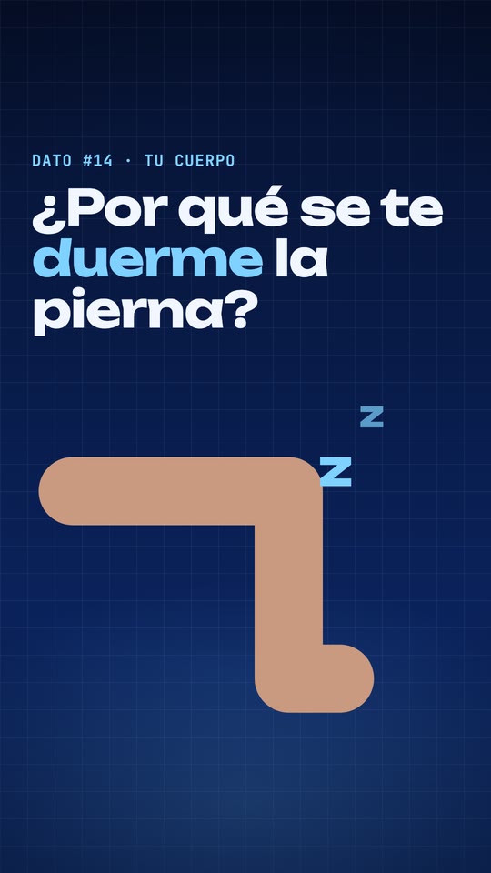¿Por qué se te duerme la pierna?